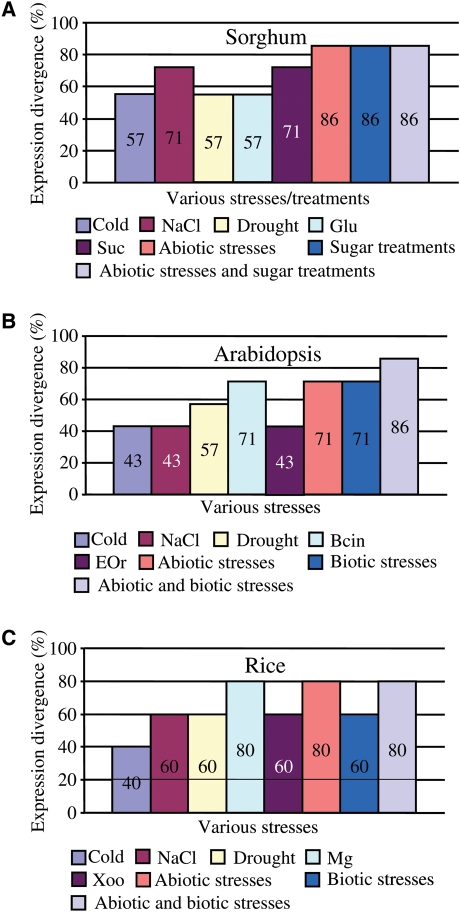 Figure 6.