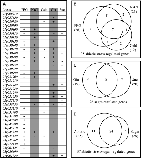 Figure 5.