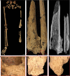 Fig. 3