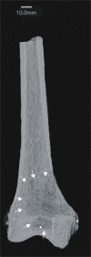 Extended Data Fig. 8