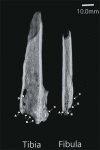 Extended Data Fig. 5