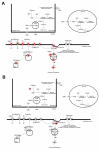 Fig. 10