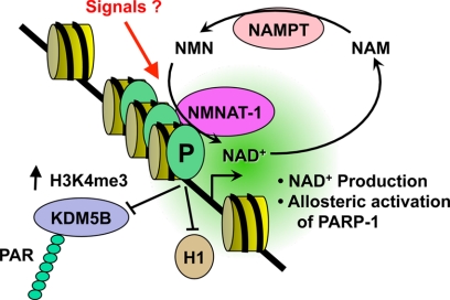 FIGURE 6.