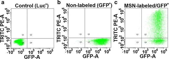 Fig. 2