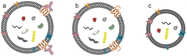 Figure 7.