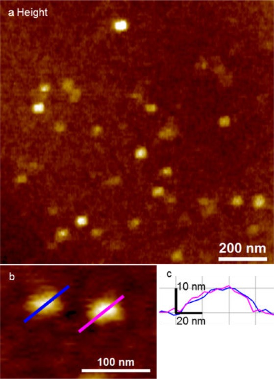 Figure 3.