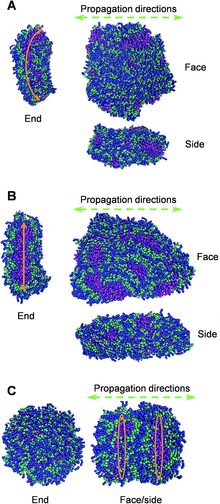 Fig. 4