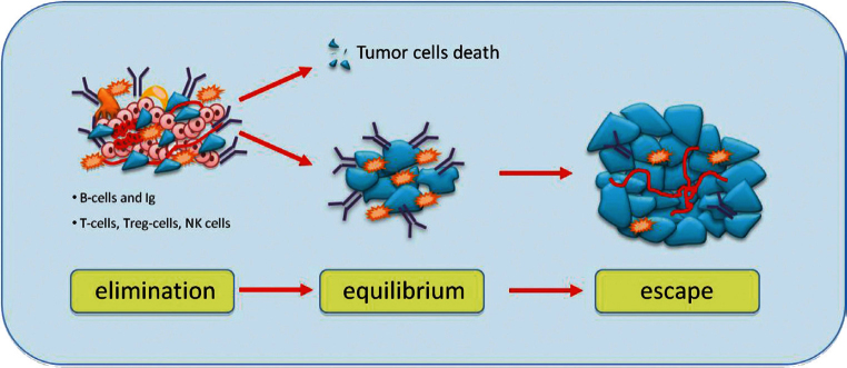 Figure 3: