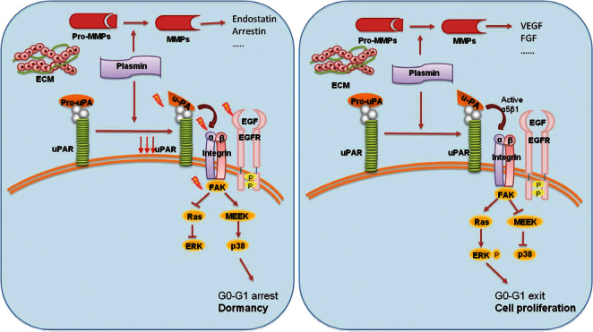 Figure 4: