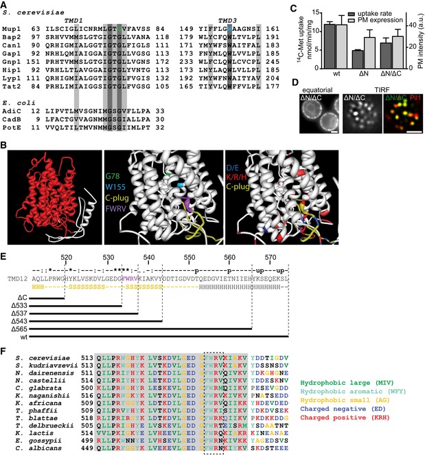 Figure EV3