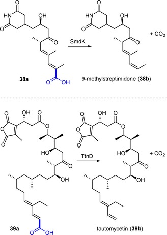 Scheme 6