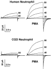 F<sc>igure</sc> 2.