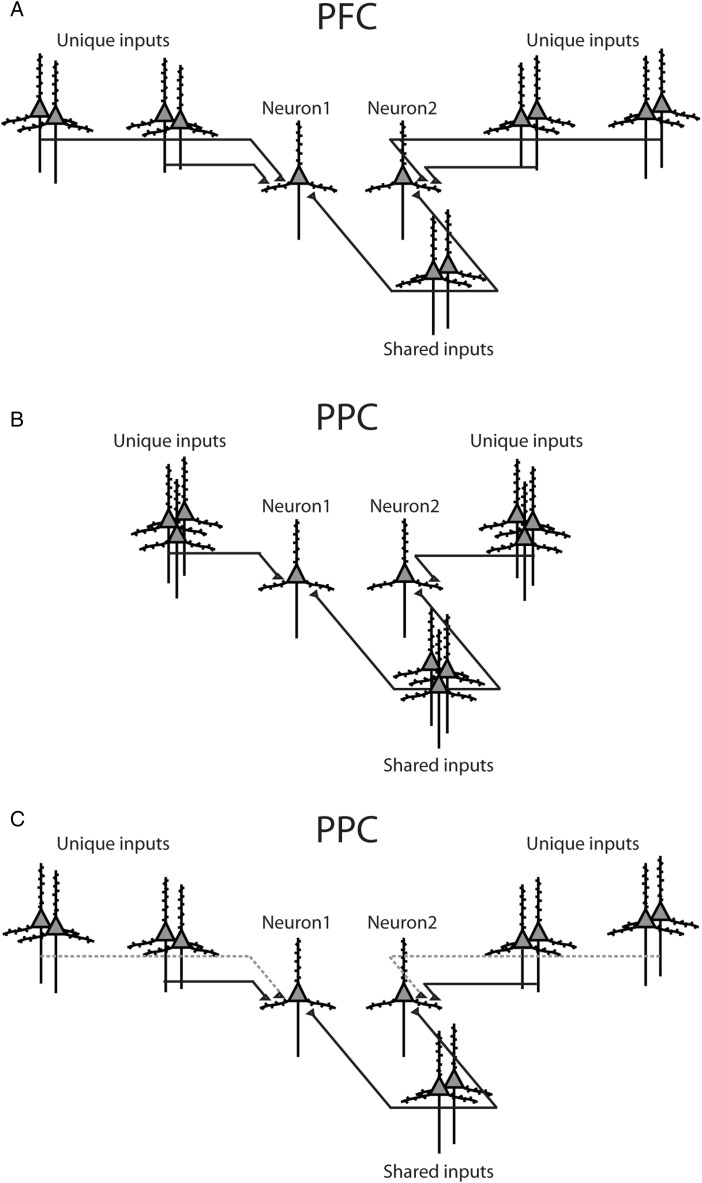 Figure 9.