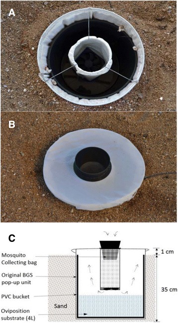 Fig. 2