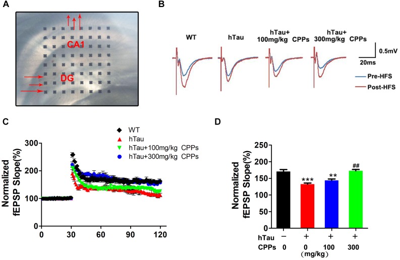 FIGURE 4