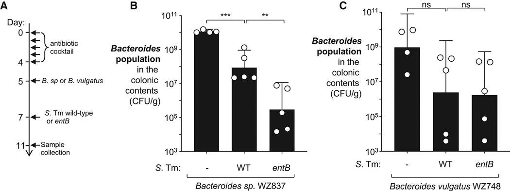 Figure 6: