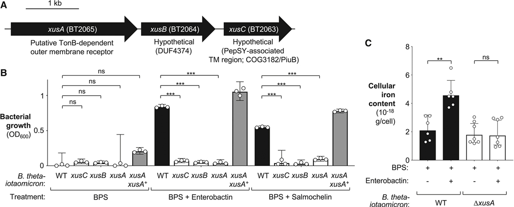 Figure 3: