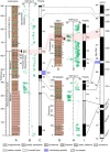 Fig. 2.