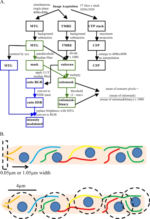 Fig 5