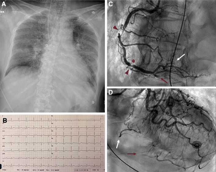 Figure 6