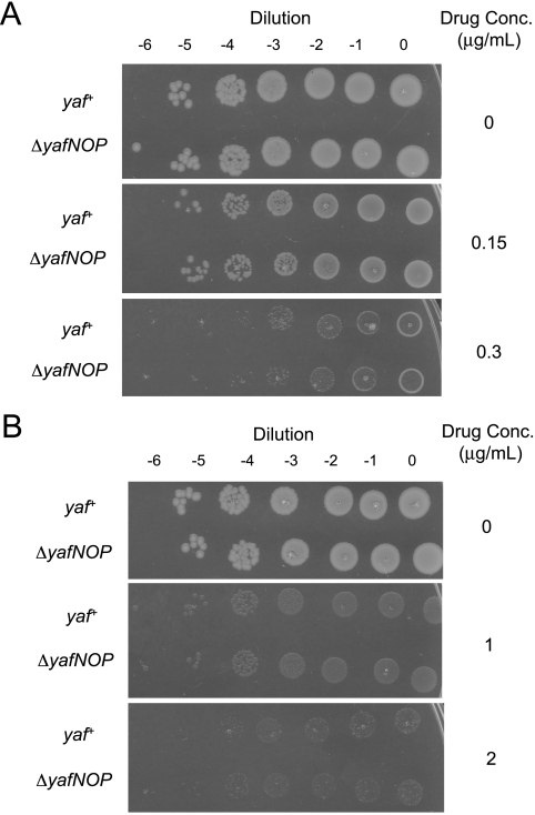 FIG. 6.