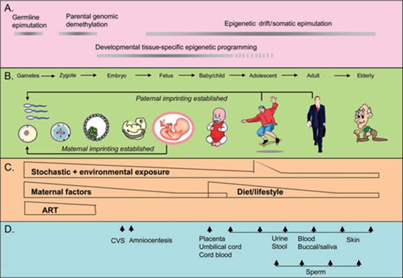 Figure 1: