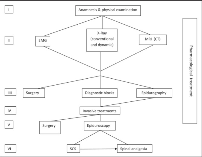 Figure 1)