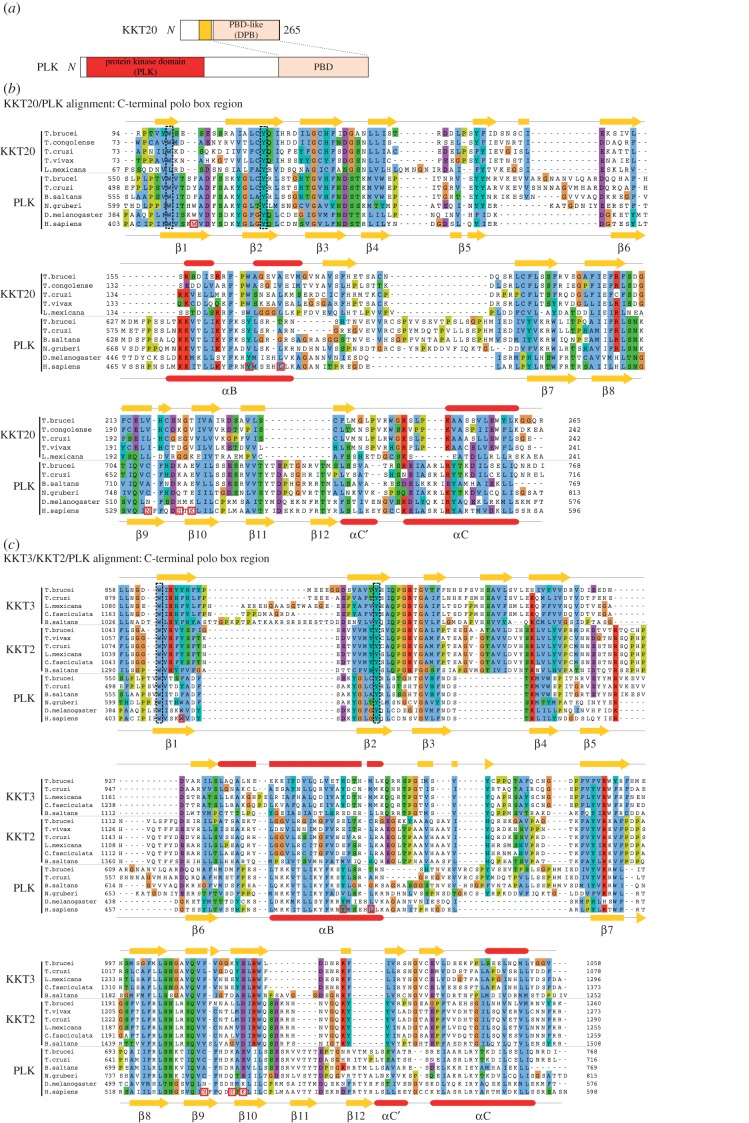 Figure 3.