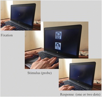 Fig. 1