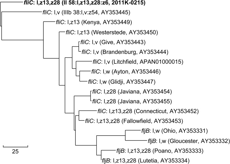 FIG 5