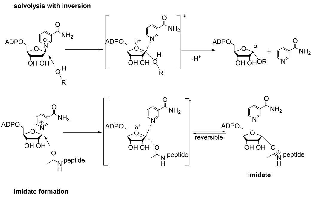 Scheme 2