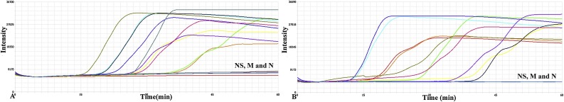 Fig. 3