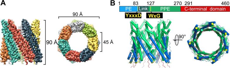 Fig. 2