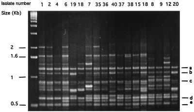 FIG. 1