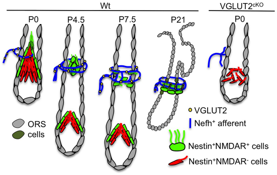 Fig. 6.