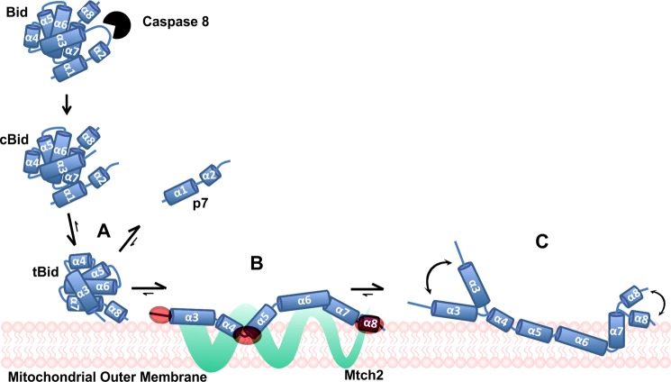 FIGURE 9.