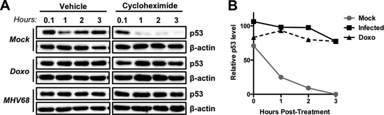 FIG 2