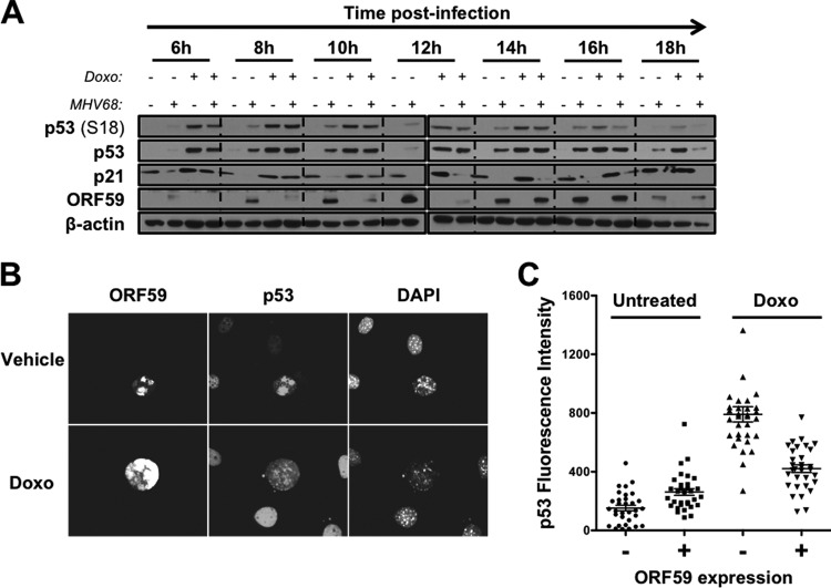 FIG 6