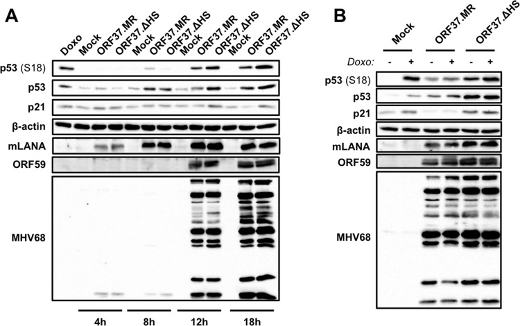 FIG 9