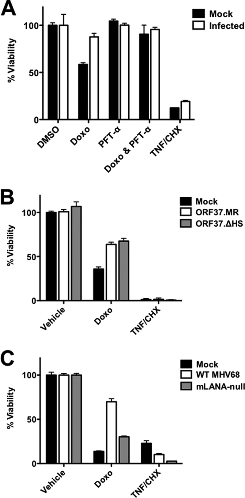 FIG 11