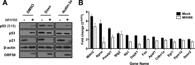 FIG 7