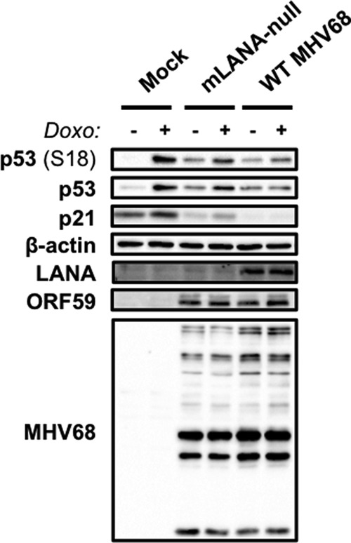 FIG 10