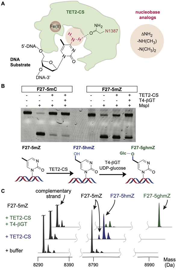 Figure 1.