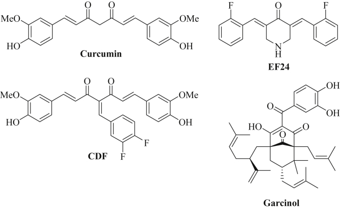 Fig. 1