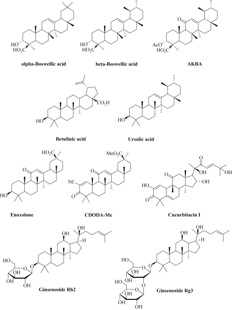 Fig. 6