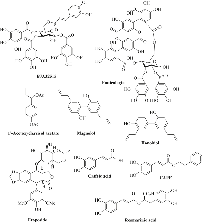 Fig. 5