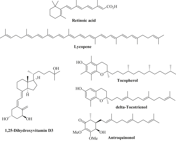 Fig. 8