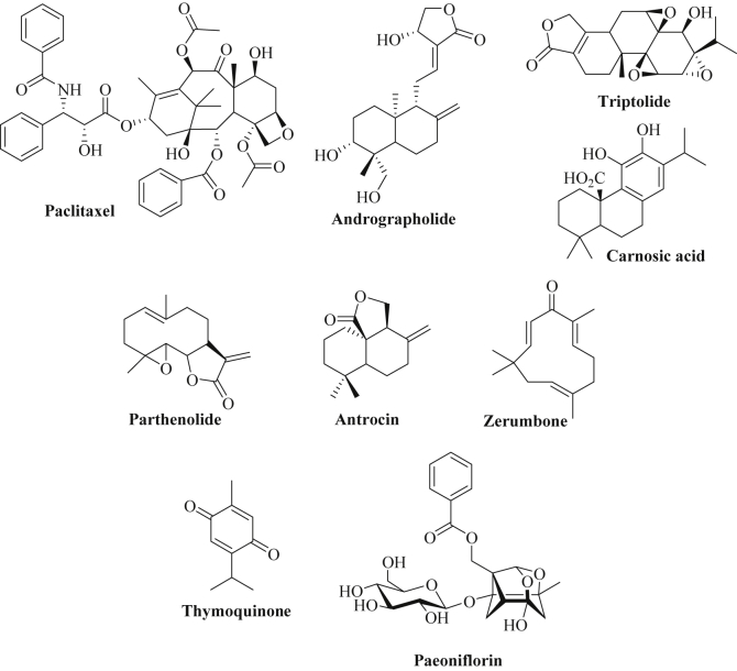 Fig. 7