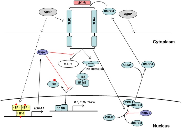 Fig 12