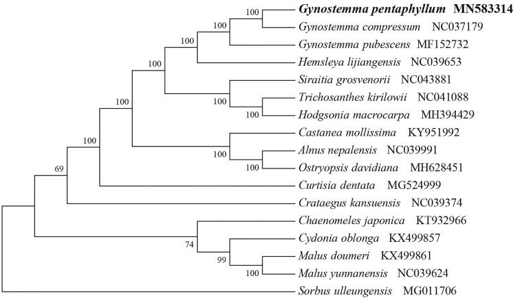 Figure 1.